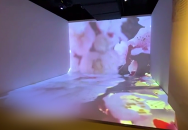杭州智行科技展示館3D全息融合投影